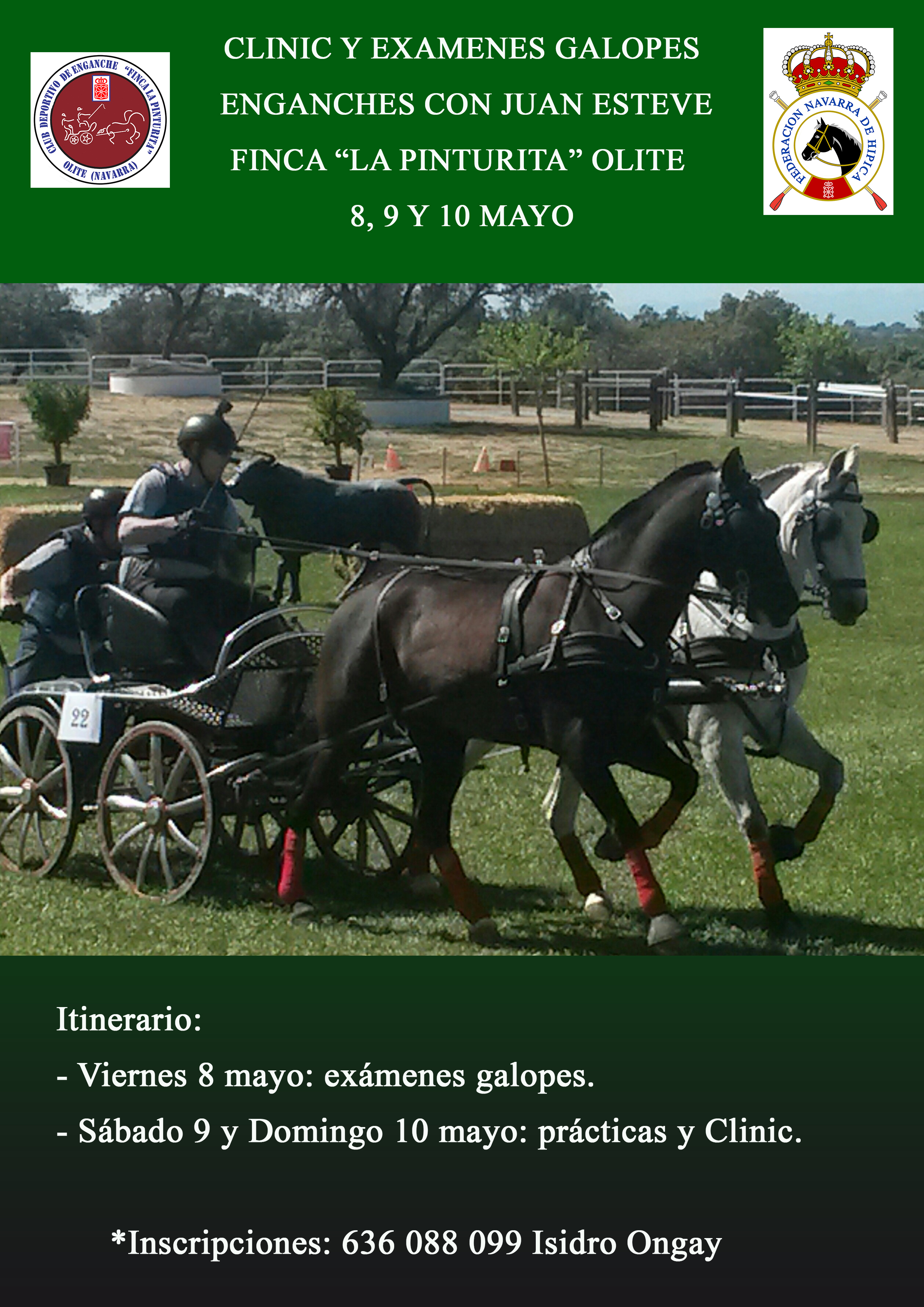 Clinic de enganches los d&iacute;as 9 y 10 de mayo en el Club Deportivo de Enganches &quot;Finca La Pinturita&quot; de Olite